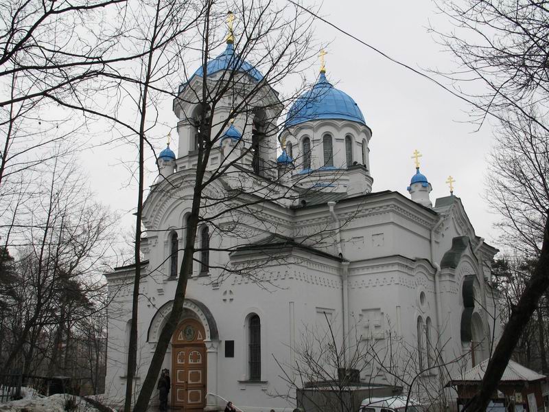 Спасо парголовская церковь выборгское ш 106а фото