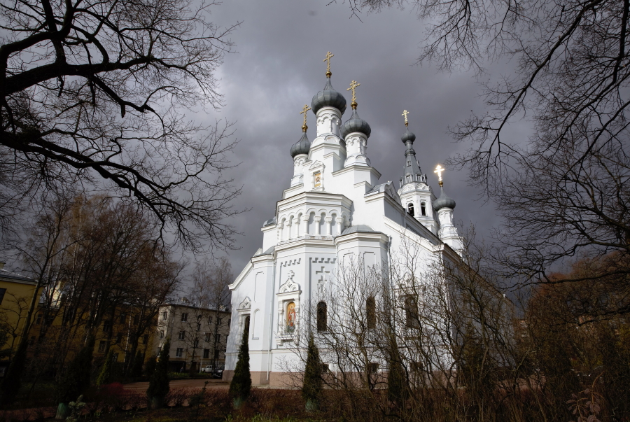 Подсветка Владимирского собора Добролюбова