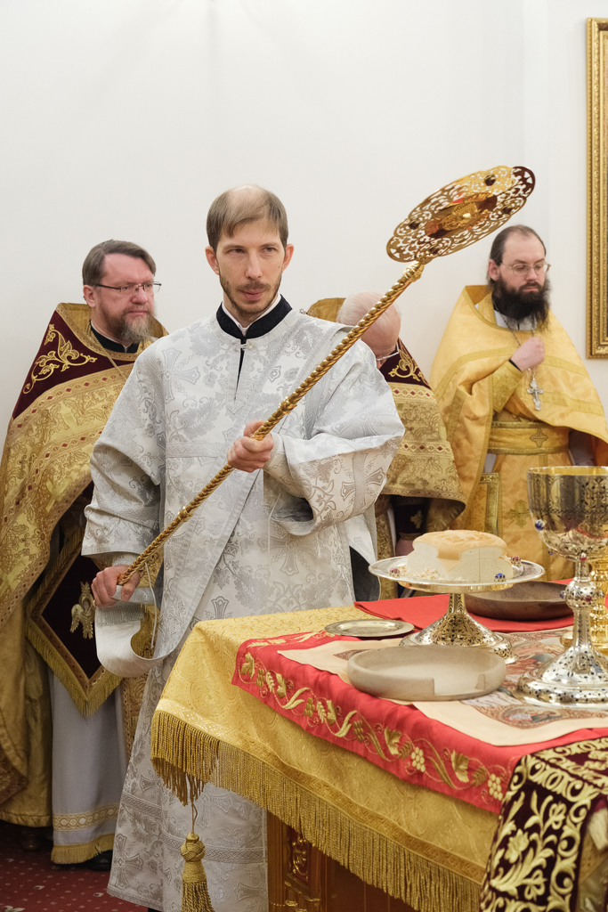 ���� ��������� ����������� ����������� �� �������