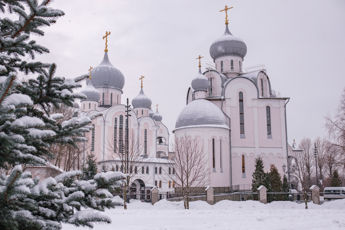 Православный храм просп герцена 151 всеволожск фото