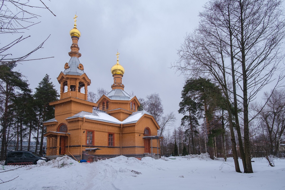 Вернуться на родину