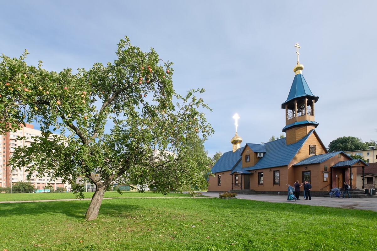 Петровская церковь фото "Исполнять заповеди" - сайт Санкт-Петербургской митрополии