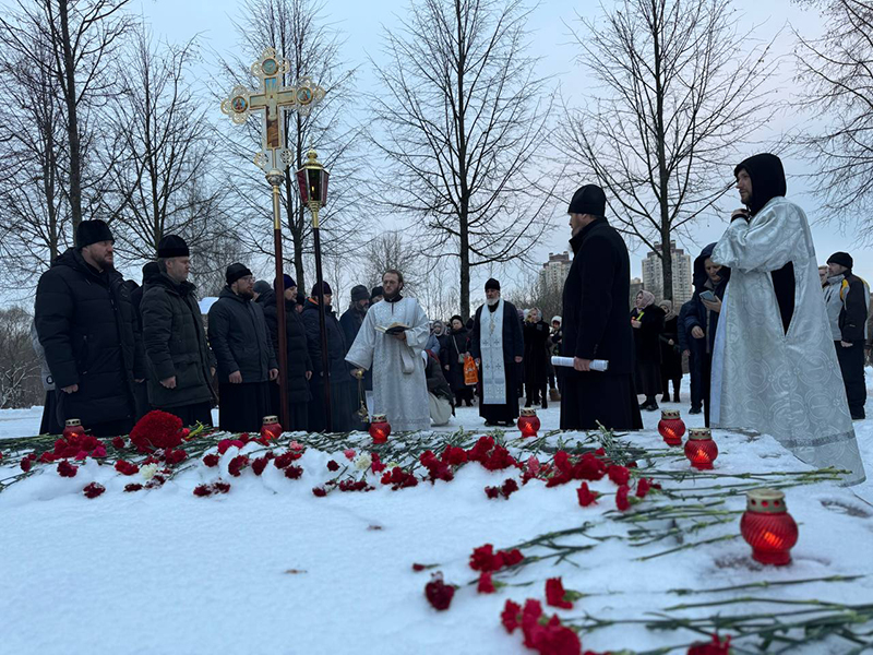 �������� ������������ ����.jpg